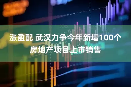 涨盈配 武汉力争今年新增100个房地产项目上市销售