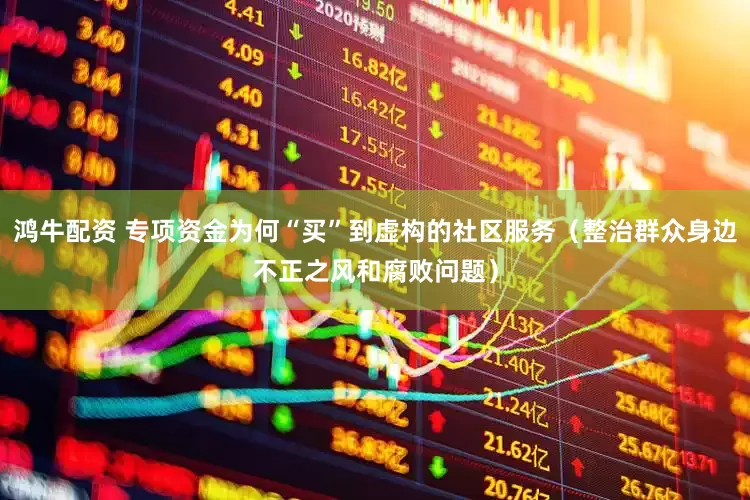 鸿牛配资 专项资金为何“买”到虚构的社区服务（整治群众身边不正之风和腐败问题）