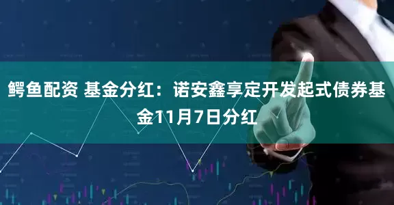 鳄鱼配资 基金分红：诺安鑫享定开发起式债券基金11月7日分红